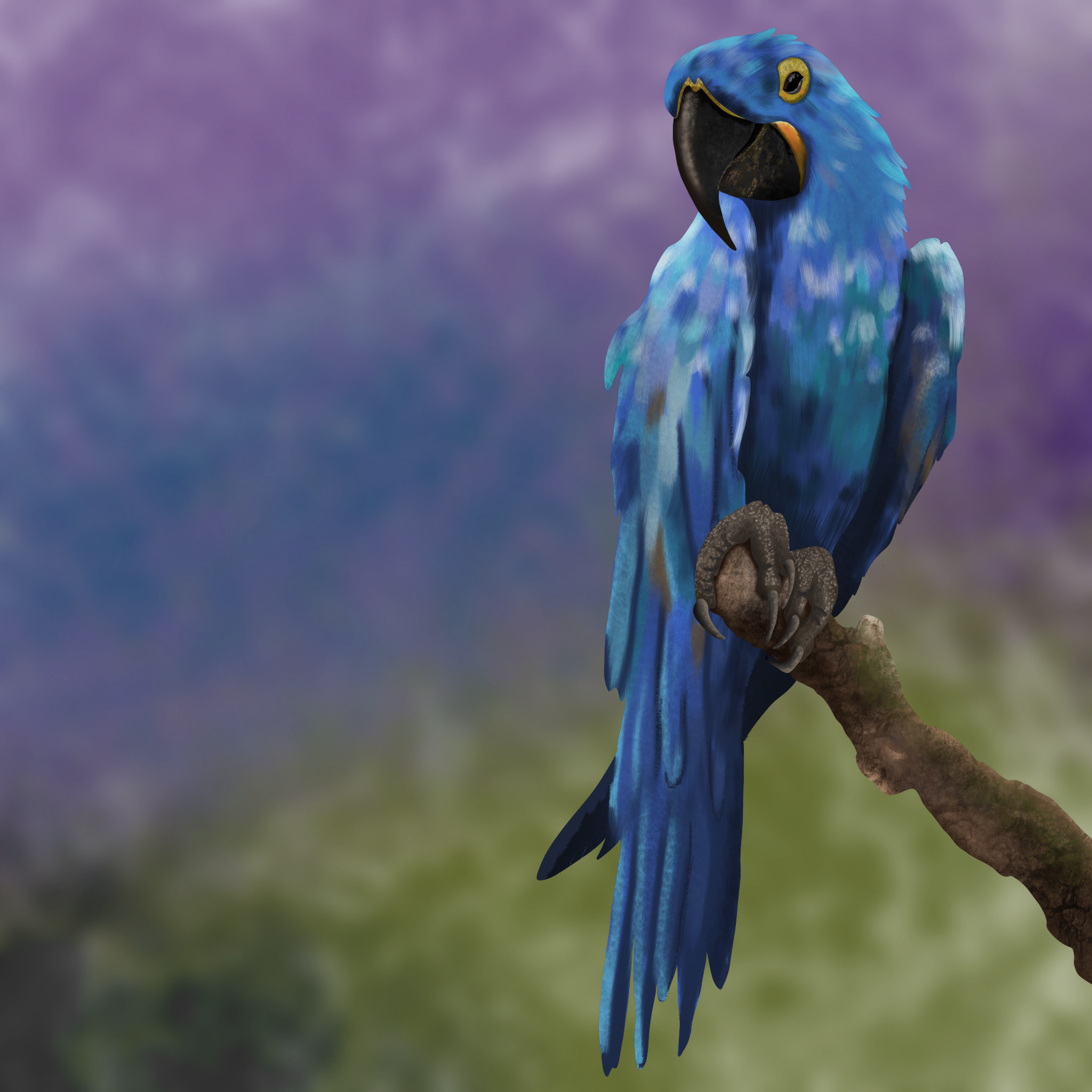 Illustration: Macaw