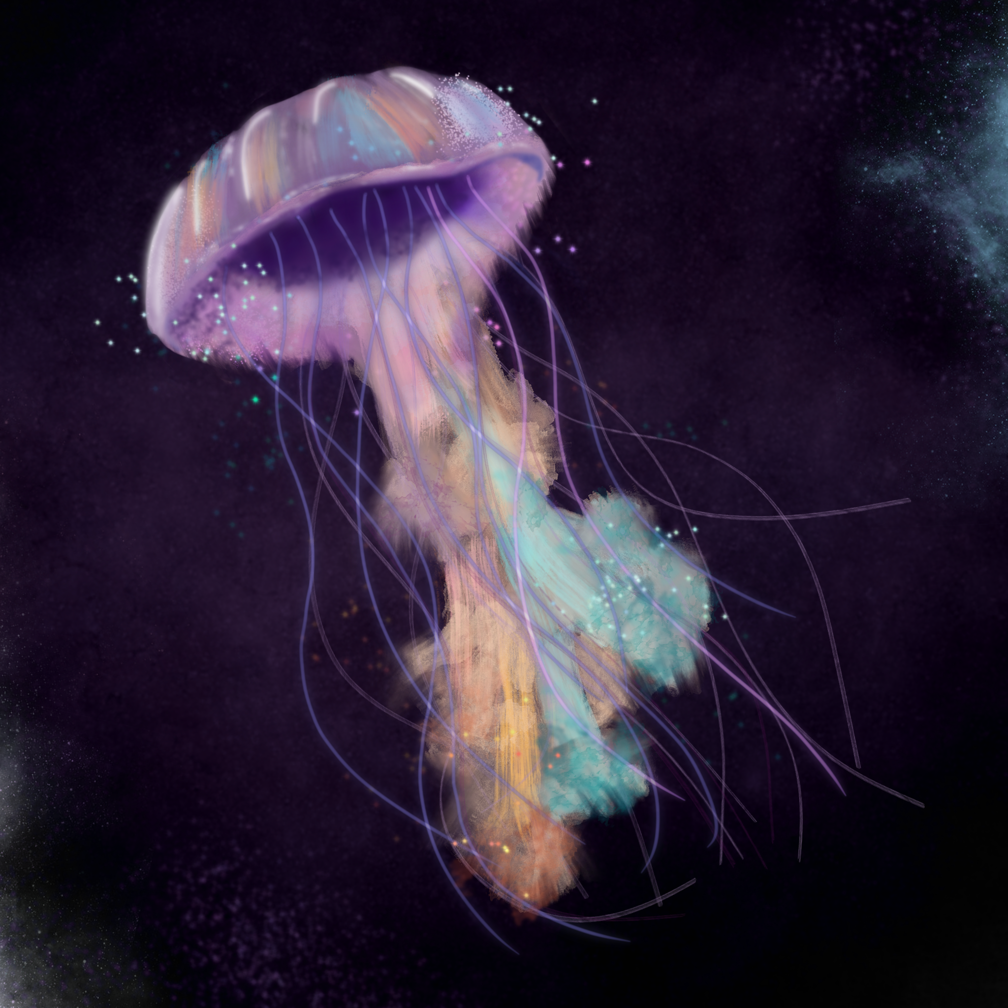 Illustration: Jellyfish